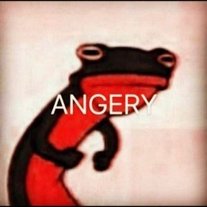 Meet your Posher, Tristan